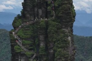 Entrée gratuite au patrimoine mondial du Guizhou avec des billets de cinéma