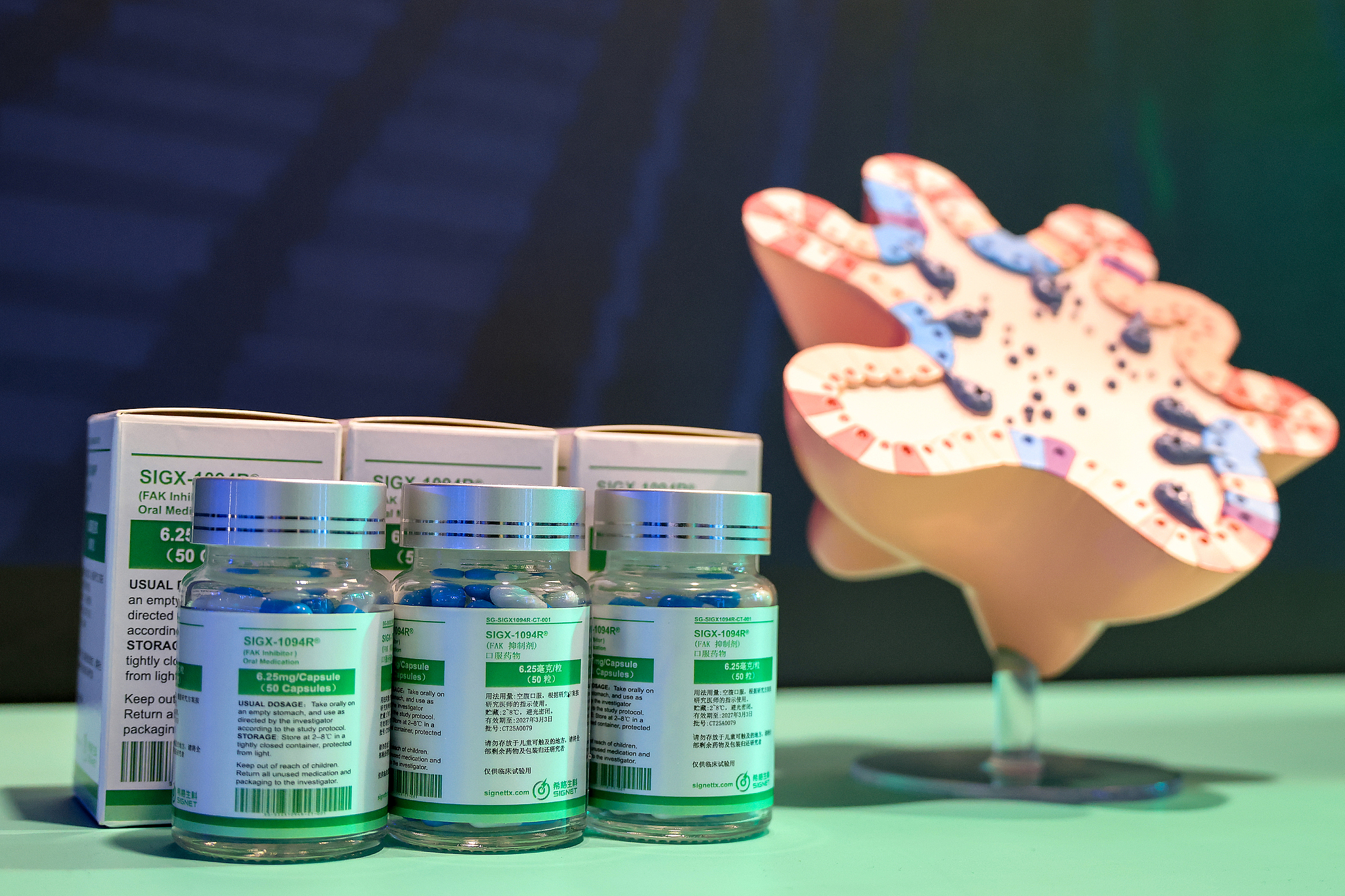 Un médicament innovant développé par Signet Therapeutics, présenté lors de la Conférence mondiale sur l'intelligence artificielle 2026 qui s'est tenue à Shanghai, le 29 juillet 2026. /VCG