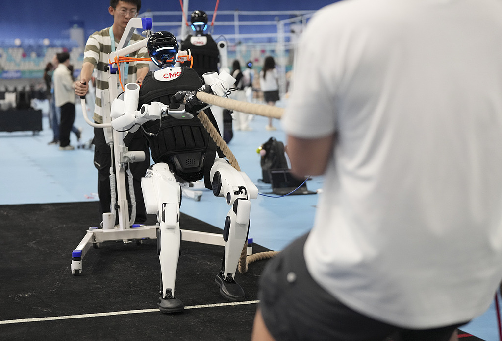 Un robot humanoïde subit un test de tir à la corde lors des deuxièmes Jeux mondiaux du robot humanoïde à Pékin, en Chine, le 17 août 2026. /VCG