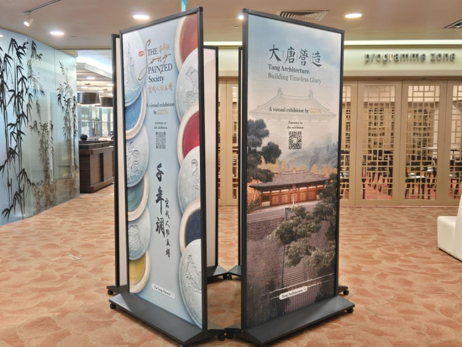 Expositions virtuelles CGTN Art Series à la bibliothèque de Chinatown. /CGTN