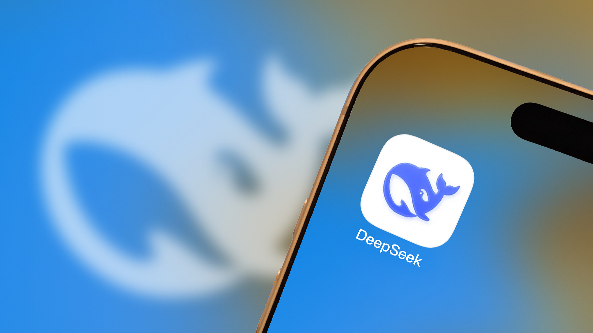 Le logo de DeepSeek. /VCG
