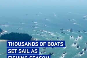 Les bateaux de pêche chinois reprennent la mer à la fin du moratoire estival