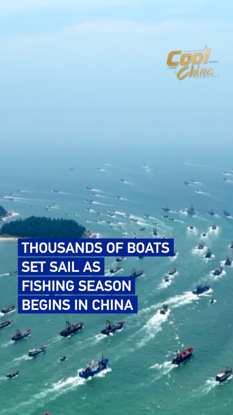 Les bateaux de pêche chinois reprennent la mer à la fin du moratoire estival

