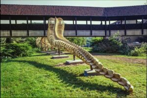 L&rsquo;installation « Python » de Huang Yong Ping débarque au musée de Pékin
