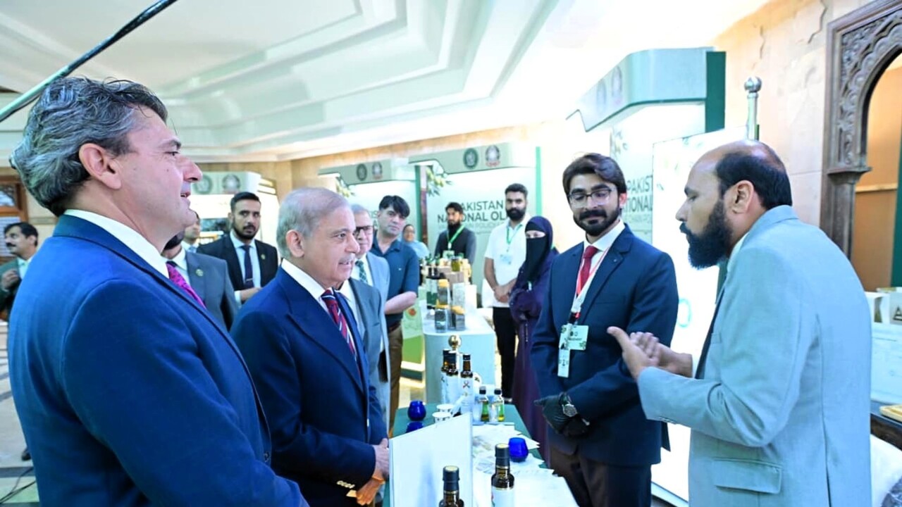 Pakistan launches its national policy for the olive supply chain