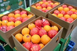 Comment le marché géant de la Chine alimente la croissance africaine