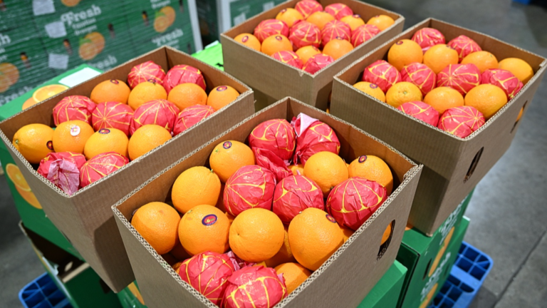Des oranges fraîches en provenance d'Égypte passent par les procédures de dédouanement sous la supervision des douanes de Shanghai, à Shanghai, dans l'est de la Chine, le 1er mai 2026. /VCG