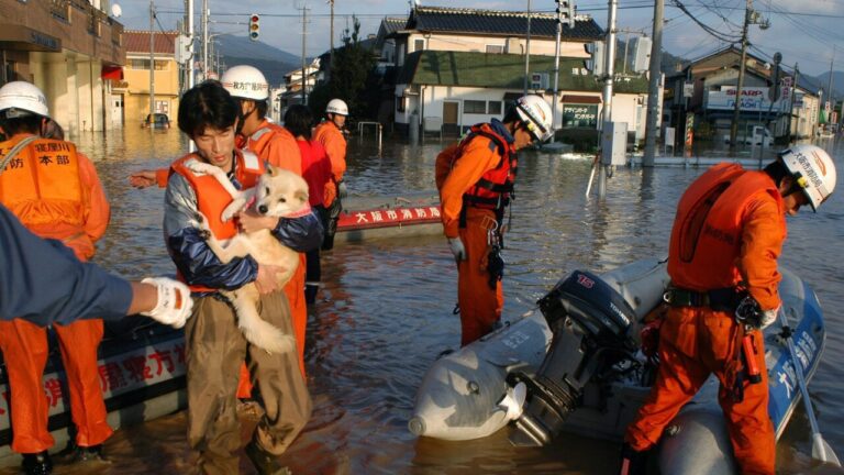 Japan: storm in Tokai, 2.65 million people evacuated
                  
