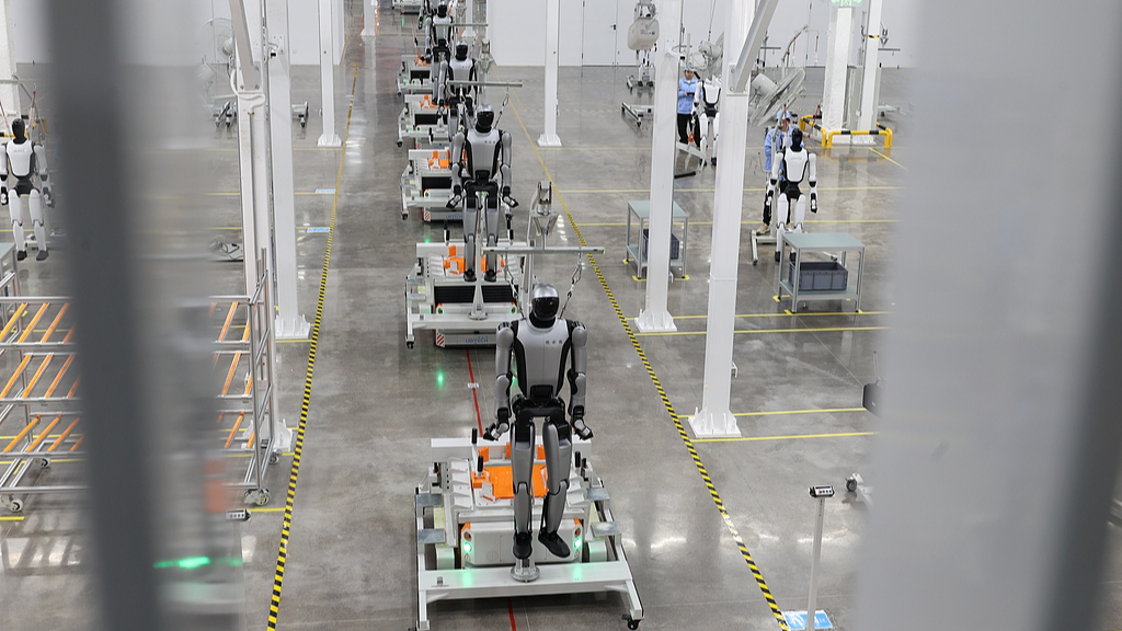 Une usine de robots à Liuzhou, dans la région autonome Zhuang du Guangxi (sud de la Chine), le 12 septembre 2026. /VCG