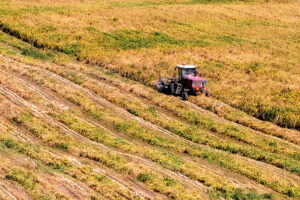 La technologie aide chaque grain à arriver au grenier en Chine