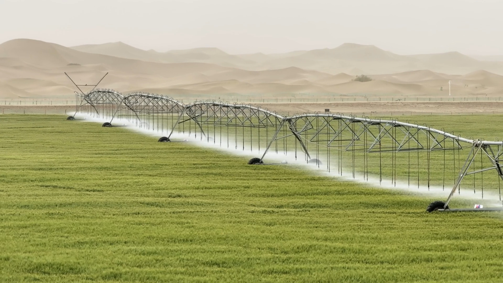 Une photo d'archive montrant l'irrigation d'une ferme près de la ville de Kunyu, dans la région autonome ouïgoure du Xinjiang, dans le nord-ouest de la Chine. /CMG