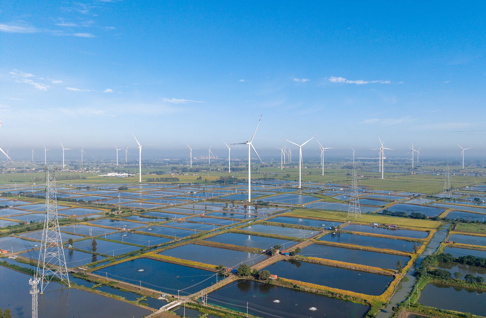Une vue d'éoliennes tournant sur une zone aquacole d'étangs piscicoles de 400 hectares dans le village de Gaoyouhu, dans la province du Jiangsu (est de la Chine), le 4 octobre 2026. /VCG
