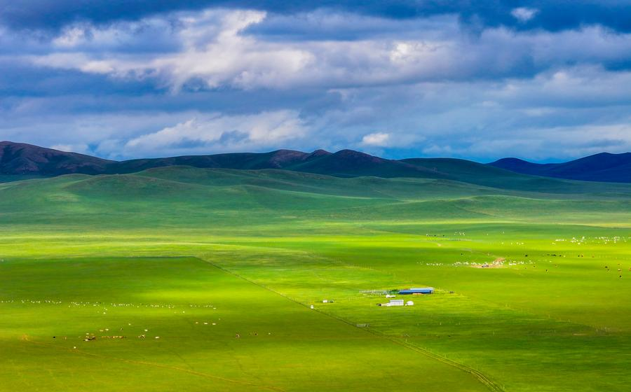Le paysage d'une prairie dans la bannière ouest d'Ujimqin de la Ligue Xilin Gol, dans la région autonome de Mongolie intérieure (nord de la Chine), le 16 juillet 2024. /Xinhua