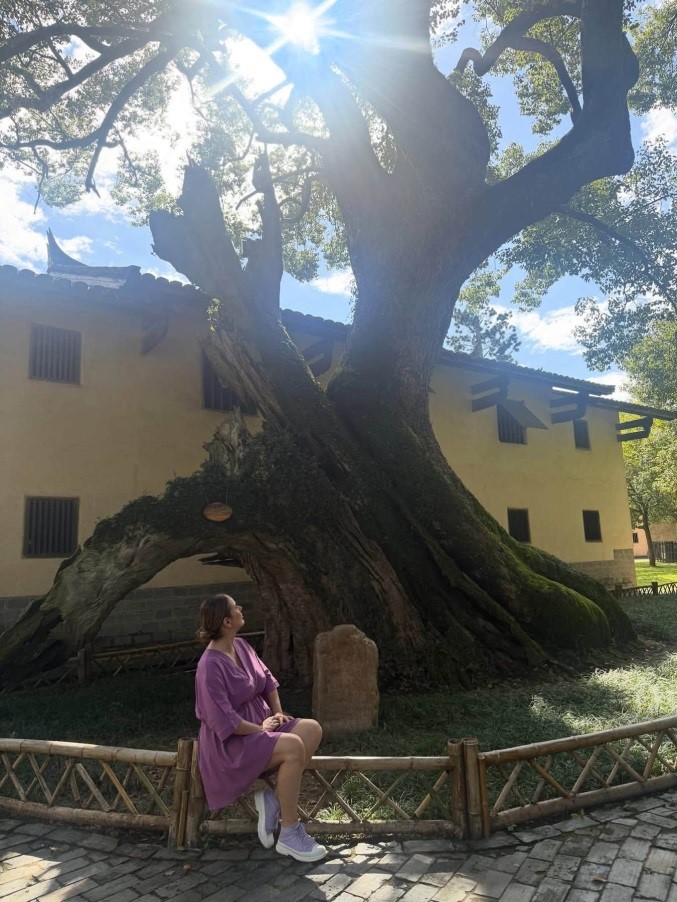 Ioana Gomoi est assise sous l'arbre qui a été touché par une bombe en 1933. /CGTN