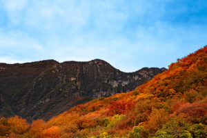 À la poursuite des couleurs d’automne à Pékin