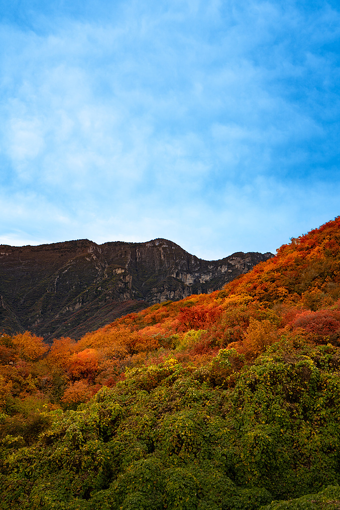 Une vue d'automne de la zone panoramique de Pofengling, dans le sud-ouest de Pékin, en Chine. /VCG