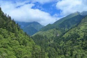 Le réseau de parcs nationaux chinois donne des résultats fructueux cinq ans plus tard