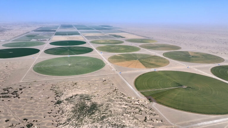 Des fermes en forme de cercle apparaissent sur cette image aérienne prise près de la ville de Kunyu, dans la région autonome ouïgoure du Xinjiang, dans le nord-ouest de la Chine, le 5 octobre 2026. /CMG