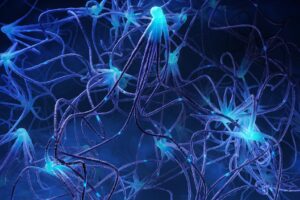 Les neurones individuels agissent comme de minuscules ordinateurs, selon une étude chinoise