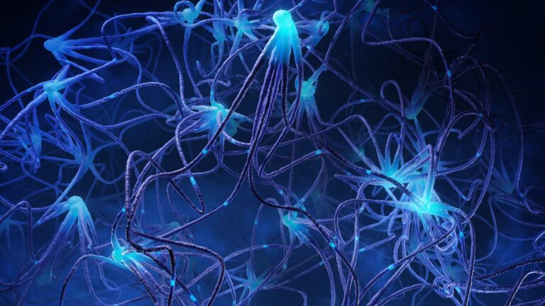 Une représentation des neurones. /VCG