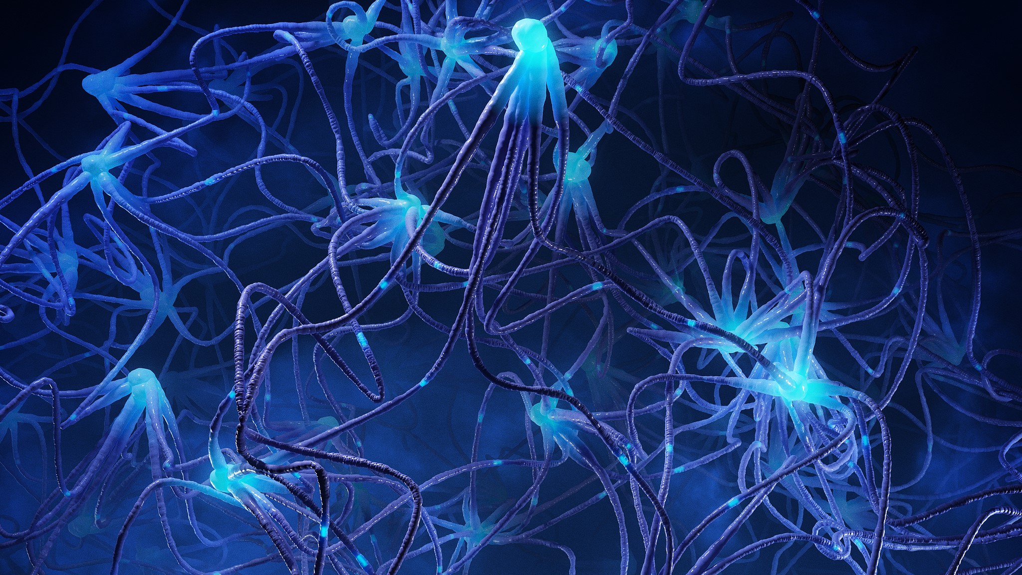 Une représentation des neurones. /VCG
