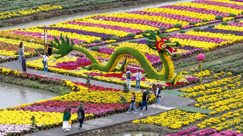Une photo prise par un drone montre des touristes regardant des fleurs dans une zone pittoresque de la ville de Xinghua, dans la province du Jiangsu (est de la Chine), le 1er octobre 2026. /Xinhua
